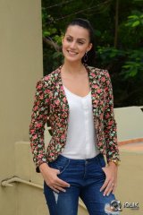 Larissa Bonesi At Thikka Movie Press Meet